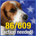 86/609 Action Needed!
