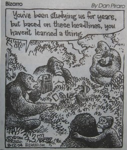 Bizarro: We've been studdying apes for years and haven't learned a thing.<width=