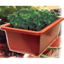 Planteur de légumes - LD-F015