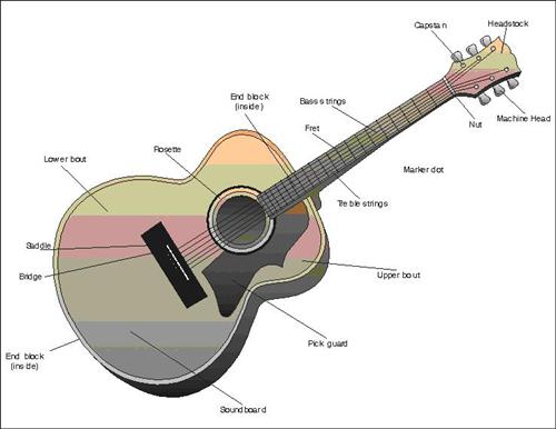 Guitar Anatomy Picture