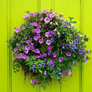 container gardening picture of annual wreath
