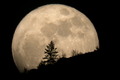Skywatcher Tim McCord of Entiat, Washington caught this amazing view of the March 19, 2011 full moon with a telescope.