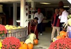 Obama and first lady shop for pumpkins