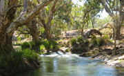 Valley of Lagoons in the Upper Burdekin River, North Queensland.