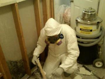 Mold Remediation (Mold Removal)