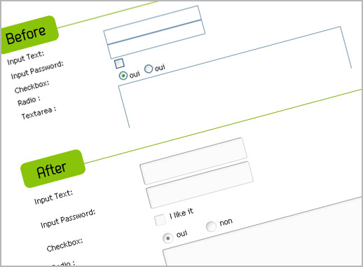transform the form styl/skin using jquery 