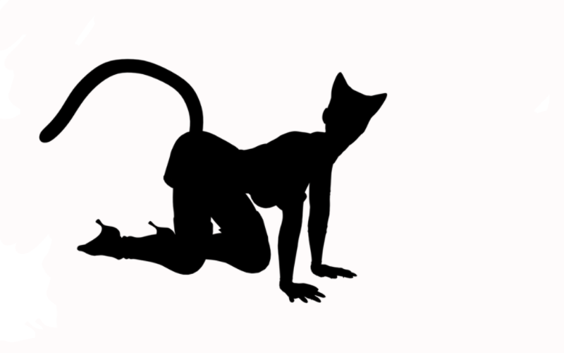 Кисти для фотошопа - Женщина кошка