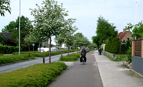 Copenhagen cycle path