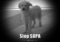 STOP SOPA | Slapix.com