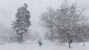 Heavy snow hits Sweden's Stockholm