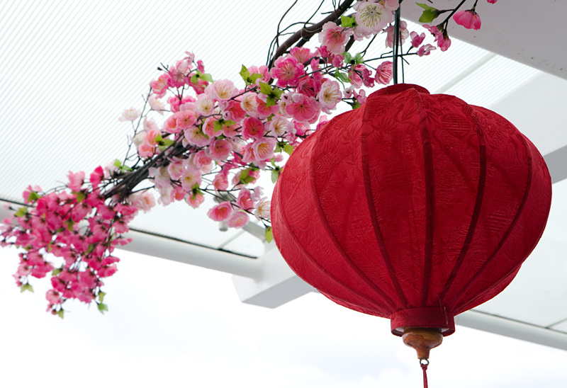 Red lantern and faux cherry blossom
