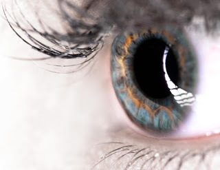 Scientists have discovered a previously undetected layer in the cornea, the clear window at the front of the human eye.