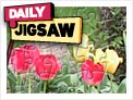 Daily Jigsaw 