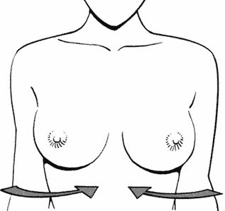 Уроки рисования: Как нарисовать женскую грудь