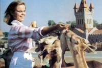 Feeding the Deer at Niagara Falls’ Marineland