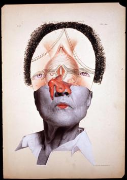 Wangechi Mutu, Complete Prolapsus of the Uterus, 2004, Glitter, ink, collage on found medical illustration paper, 46 x 31cm