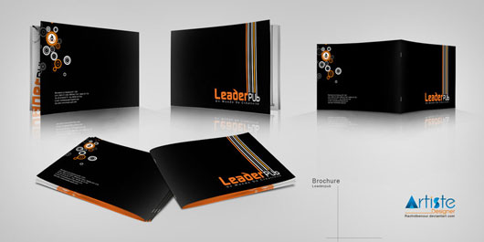 brochure leader 35 Creative Brochure Design examples for your Inspiration