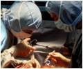  Doctors Perform Successful Open-Heart Surgery on 70-Year-Old Woman