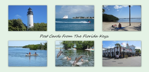 The different settings and scenarios of the Florida Keys.