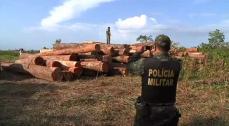 Cops and loggers in the Amazon rainforest