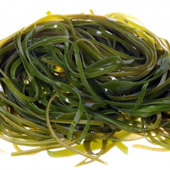 green-Kelp