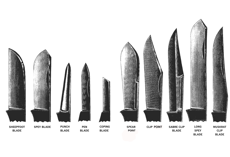 Types blade
