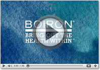 Click here to view The Boiron Way.