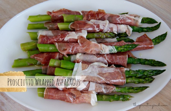 prosciutto wrapped asparagus thesproutingseed.com