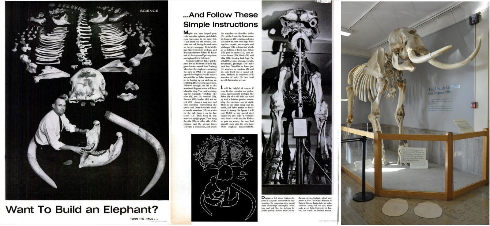 1963 : Life Features MSU Museum Director