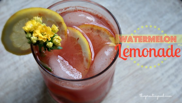 watermelon lemonade thesproutingseed.com