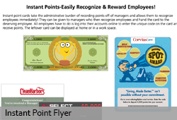 Instant Point Flyer for Sales