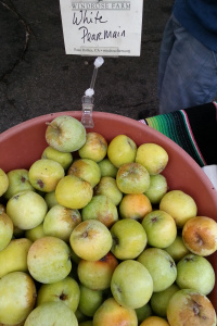 pear main apples (windrose farms)