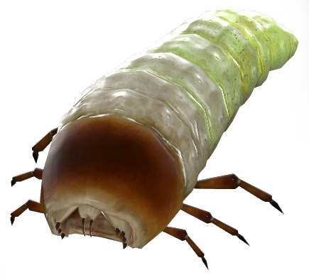 A picture of a GRUB... geddit?