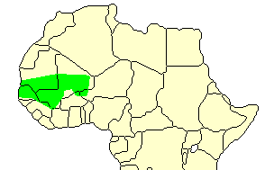 Empire du Mali au 13° siècle