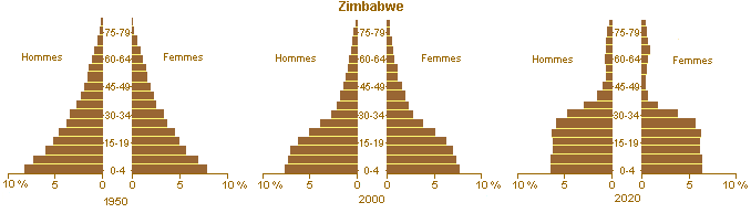 Pyramides des ges du Zimbabwe en 1950, 2000 et 2020