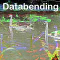Have Some Audacity: Databend Your Images