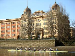 7 April 2015: The Cambridge Blue Boat crew row past the Harrod's Depository during a training outting ahead of the BNY Melon University Boat Race on The River Thames in London