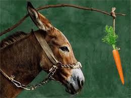 zanahoria-y-burro