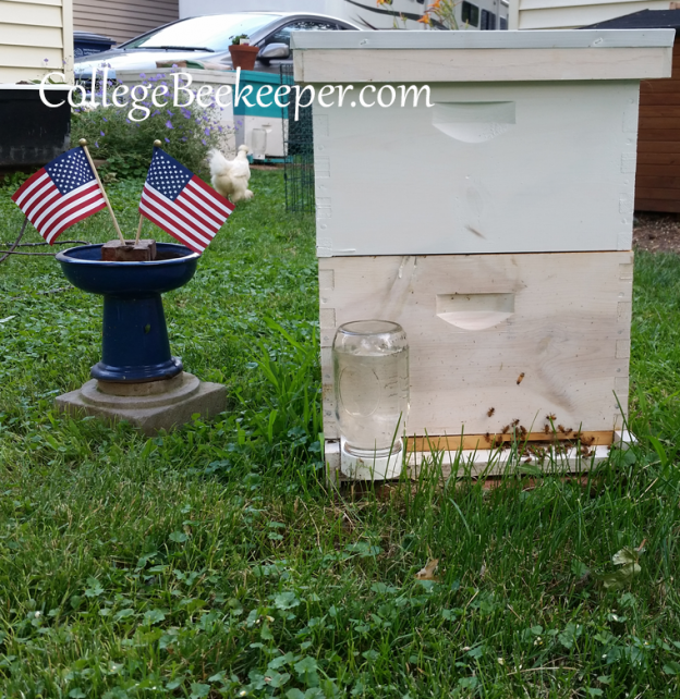 Happy Independence Day From College Beekeeper