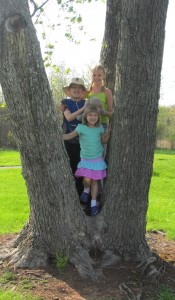 Homeschool kids in a tree
