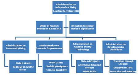Graphical representation of the possible organizational structure of an independent living administration