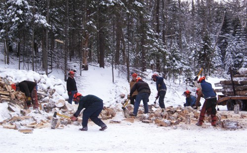 Students from Paul Smith’s College learning to process firewood.Photo Credit: Joseph Orefice 