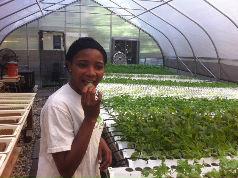 Harlem Grown grows greens and girls in New York City