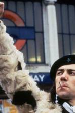 Citizen Smith is back: Classic 1970s BBC comedy starring Robert Lindsay set to return