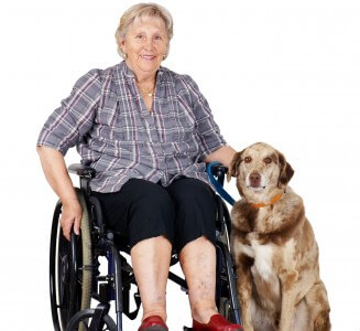 Senior woman in wheel chair making a senior injury claim