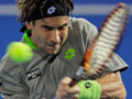 David Ferrer survives as seeds tumble in Auckland