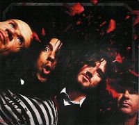 Cover Red Hot Chili Peppers - Stadium Arcadium
