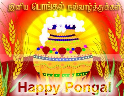 best pongal images