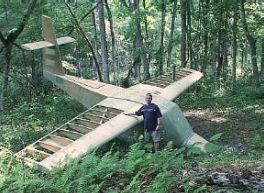 plane in the woods