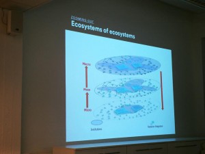 Service Ecosystems 